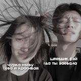 мизучик и рейка