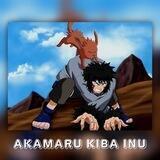 AKAMARU KIBA INU 🐩