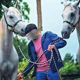الخيل معقود في نواصيها الخير