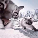 нанимэйви💋