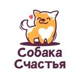 Чат «Собака Счастья»