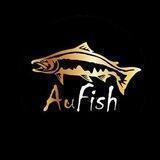 AUFiSH🦈