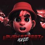 BUSHSTREET MUSIC