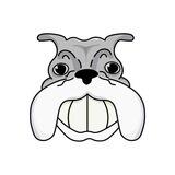 BALDO Chat
