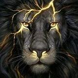 Le lion solitaire 🦁🛜