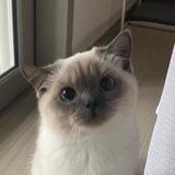﹫kucizng! ♥︎