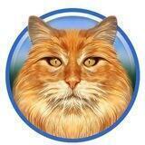 Ragdoll Cat NFT