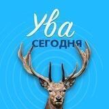Ува сегодня