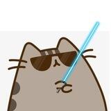 Portal of Pusheen The Cat - Charity Token on BSC