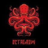 OCTAGROW | on BSC