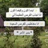 👈قناة لتبادل الاعلانات 369