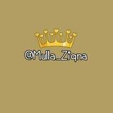 " Mulla Ziqna "