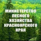 Министерство лесного хозяйства Красноярского края