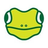 $Gecko Coin Channel