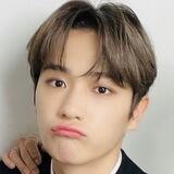 Hyunjaes