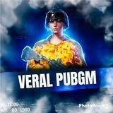 VERAL PUBGM