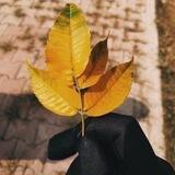 الــقــَواريــُر"💞