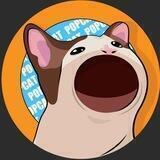 POPCat Token cn🇨🇳_谨防外面假群