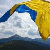 Міністерство лісу