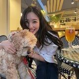 ♡. 미영 (@HangMiYoung) !