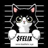 BAD FELIX - PreVerify