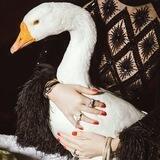 Что ты делаешь, Алла?