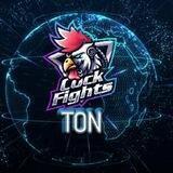 Ton. NFT Cock Fights