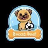 SoccerDoge BSC Official