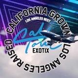 CaliToneExotix Touchdown page