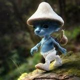 шайлушай home of shailushai (real smurf cat)
