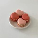 macaroon