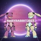 BabyRabbit2023