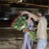 طير وسمـَا