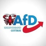 AfD Cottbus