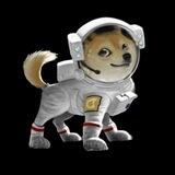 SpaceX Floki CEO Global Chat