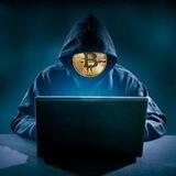 Fight Crypto Scams