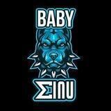 Baby Sigma Inu