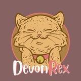 DevonRex Cat | Presale TODAY