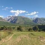 Wildlife Conservation Network of Uzbekistan
