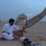 الزلاميء .
