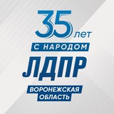 ЛДПР Воронеж