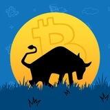 BTC BULL RUN