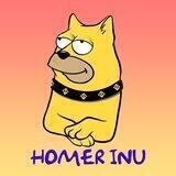 Homer Inu Portal | BSC