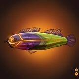 ARL FISHs