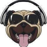 DISCOJOCKEYDOGE ▏KYC & Audit