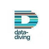 Data-Diving // Pro Data