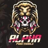 ALPHA UC SERVIS ⚡️