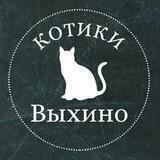 Котики Выхино 🐈