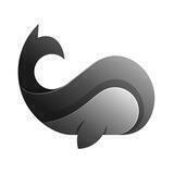 WhalePad Support for Developers & Builders
