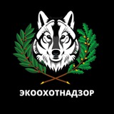 Экоохотнадзор31